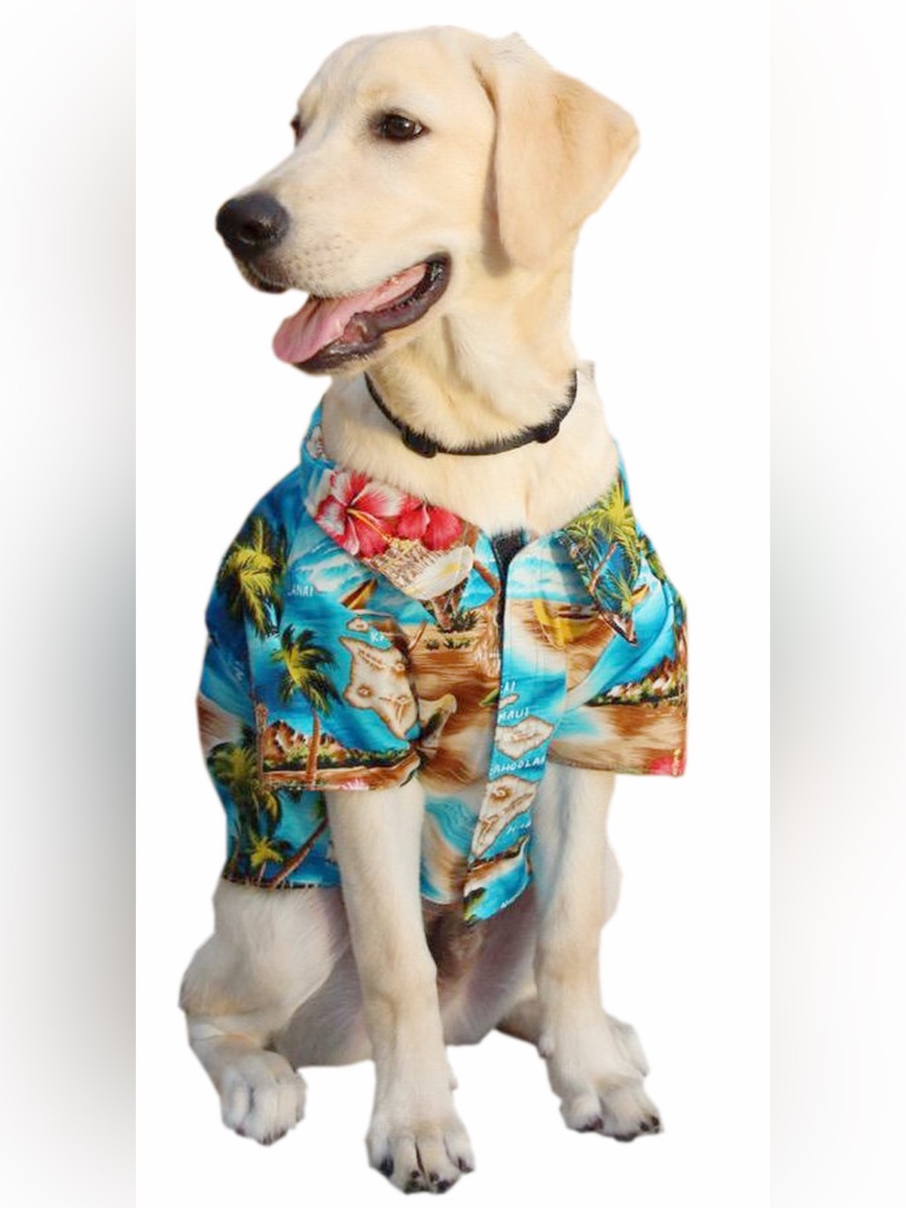 RJC Hawaiian shirt for dogs - size L 31-45lbs